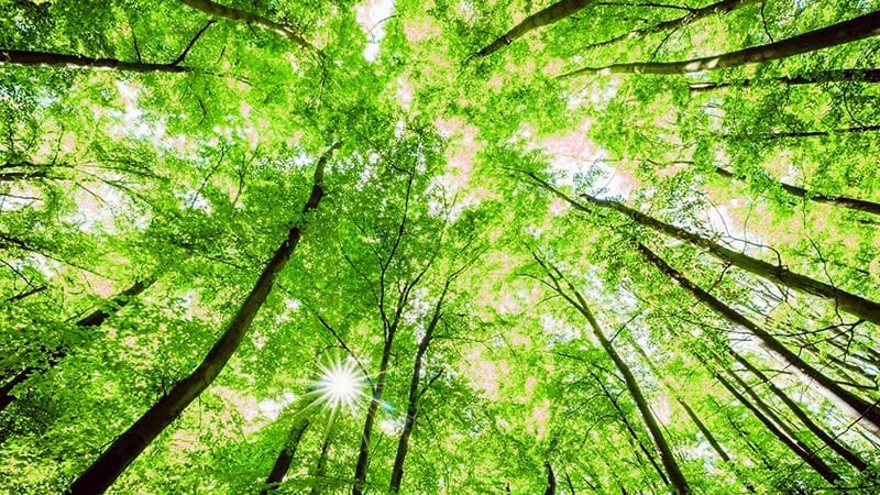 Arredamenti componibili 4 FIlosofia Green